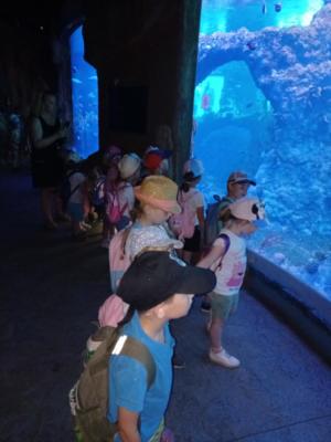 2022.06.23. wycieczka do ZOO (10)