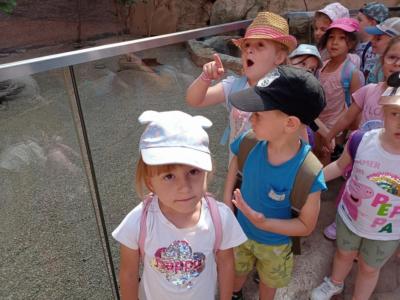 2022.06.23. wycieczka do ZOO (14)