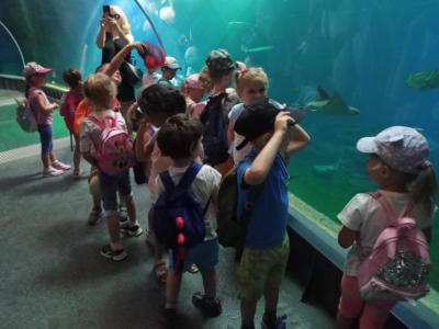 2022.06.23. wycieczka do ZOO (25)