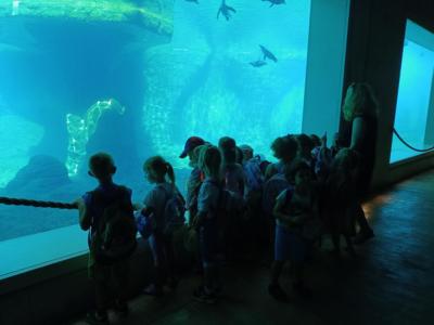 2022.06.23. wycieczka do ZOO (33)