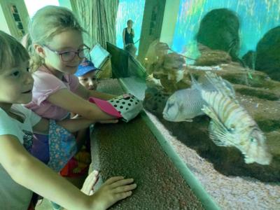 2022.06.23. wycieczka do ZOO (38)