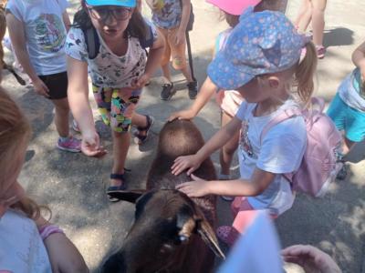 2022.06.23. wycieczka do ZOO (58)