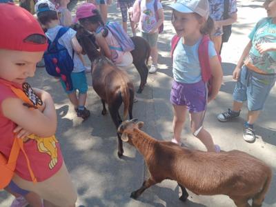 2022.06.23. wycieczka do ZOO (60)