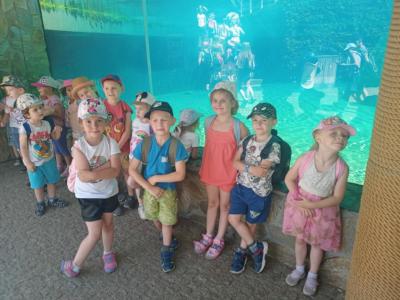 2022.06.23. wycieczka do ZOO (61)