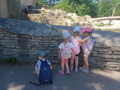 2022.06.23. wycieczka do ZOO (74)