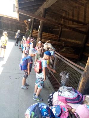 289016115_1465955480502504_616539597963540799_n