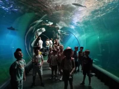 289046133_403295478234411_3138275225030921795_n