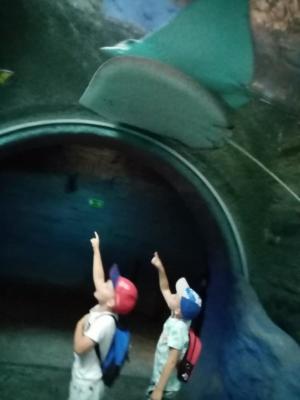 289305257_985815818783794_3833520520792574858_n