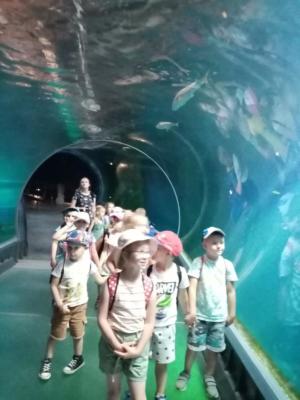 289612159_435939431416899_5427006849401143692_n