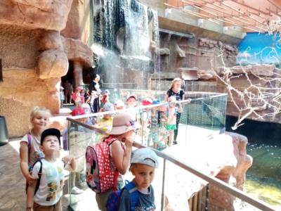 289939351_749085896234602_3171552281906051699_n