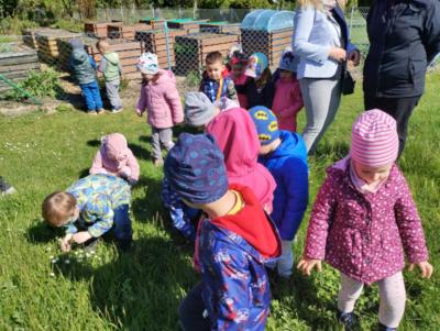 IMG_20230510_094826335_HDR