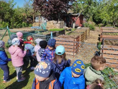 IMG_20230510_094939196