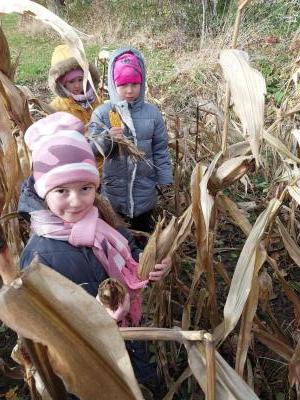 2023-11-17 mościsko (11)